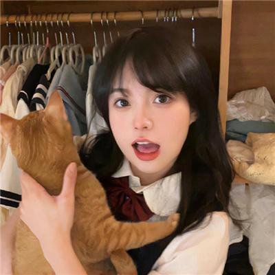 猫咪情缘